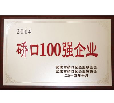 硚口100强企业